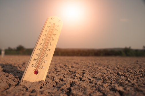 Hitze und Klimaschutz Ein Thermometer steckt im ausgedörrtem, rissigen Erdboden einer Landschaft. Darüber knallt die Sonne vom Himmel.